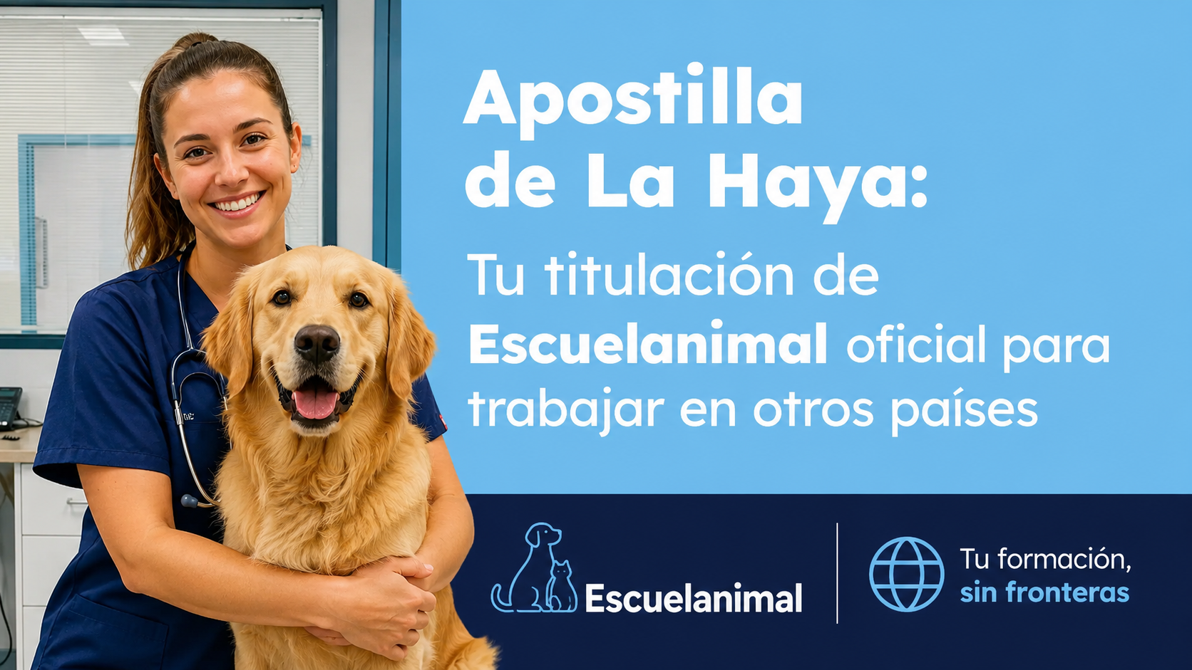 apostilla de la haya escuelanimal