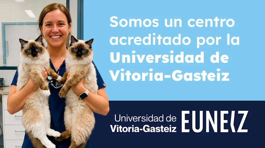 acuerdo escuelanimal universidad de vitoria gasteiz